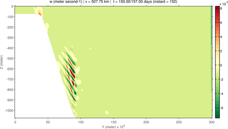 Cross-isobath section of vertical velocity