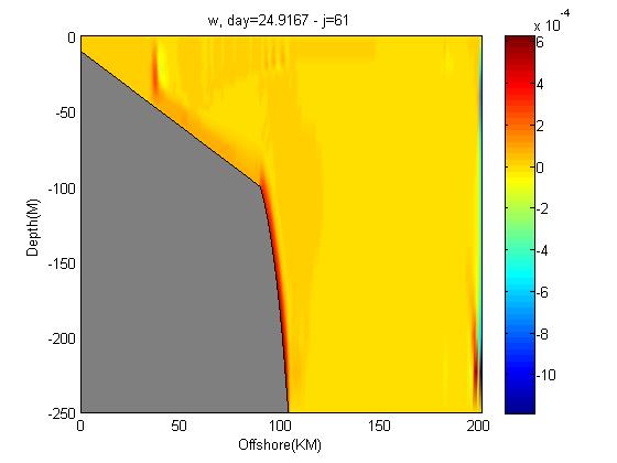 vertical cross-section of vertical velocity(w)