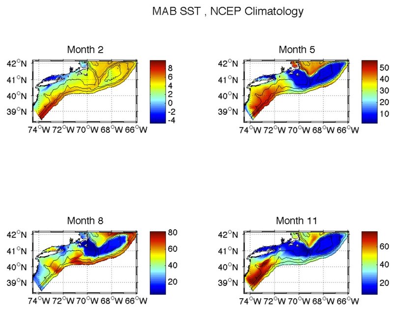 NCEP_SST_MAB.jpg