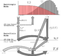 Thumbnail for version as of 01:00, 27 August 2008